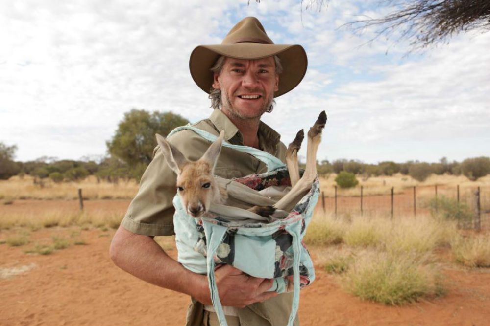 10 destinations people visit to see animals