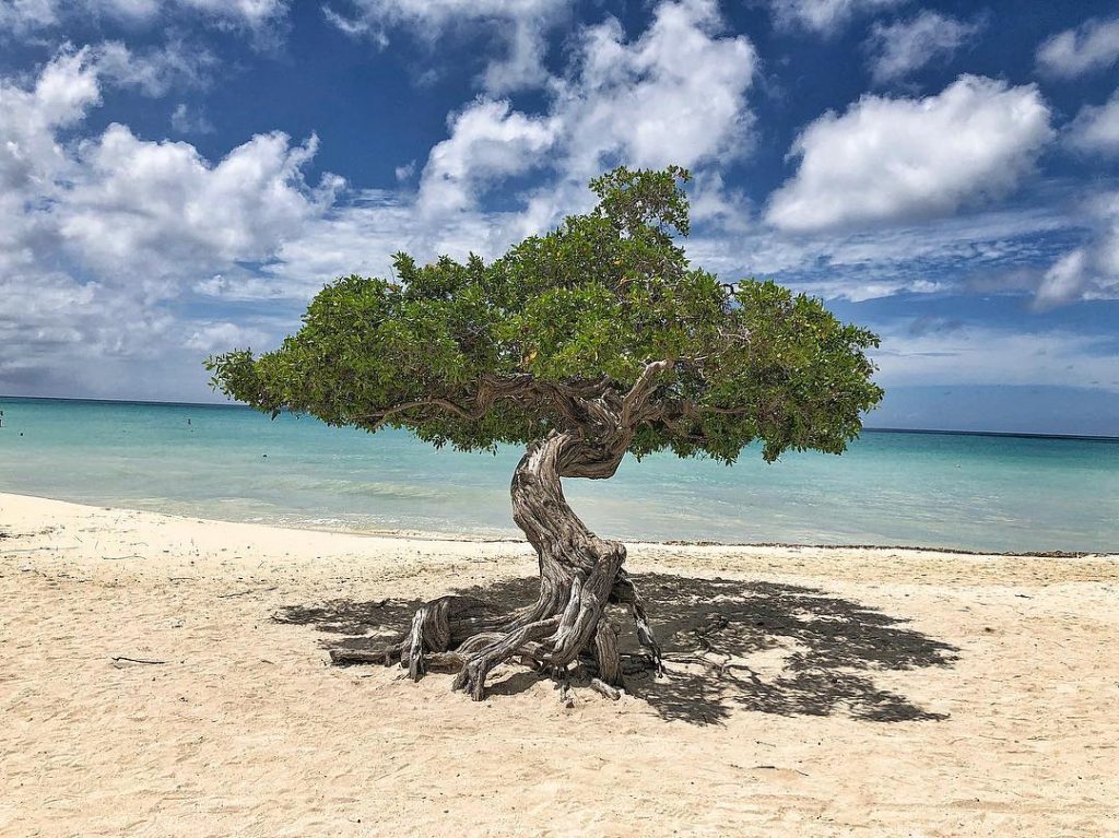 11 Best Beaches To Help You Escape Winter