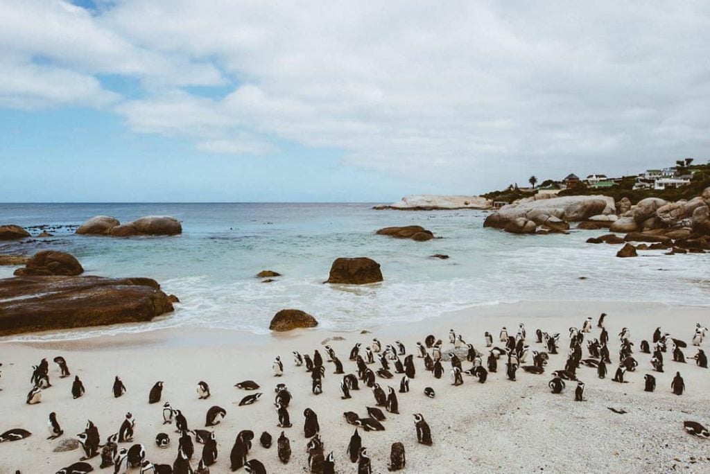 11 Best Beaches To Help You Escape Winter