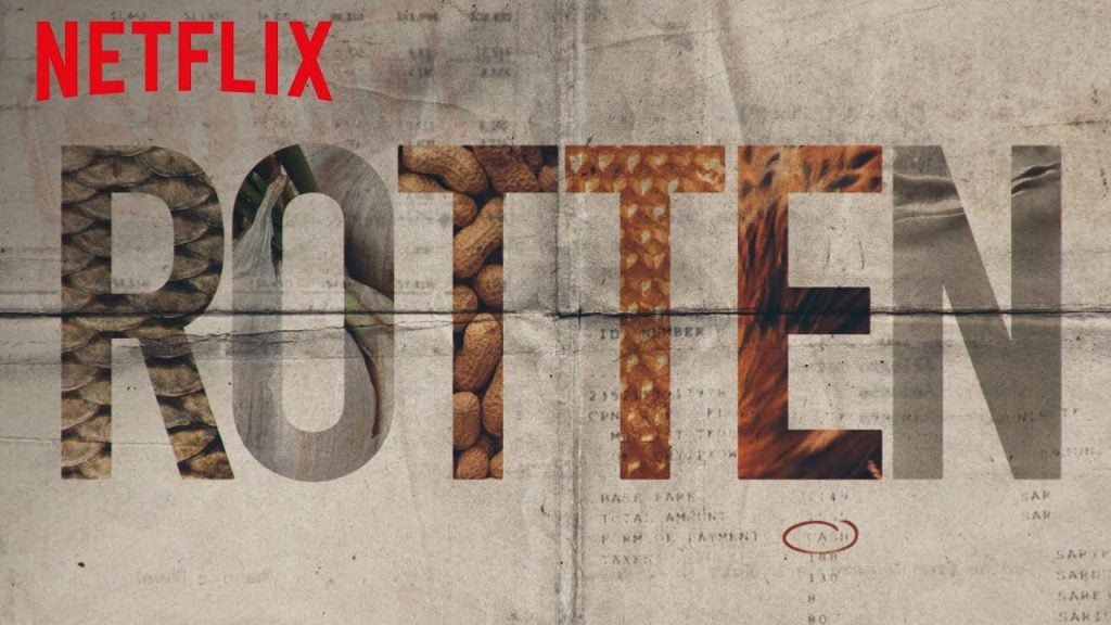 10 Best Food TV Shows to Watch Right Now