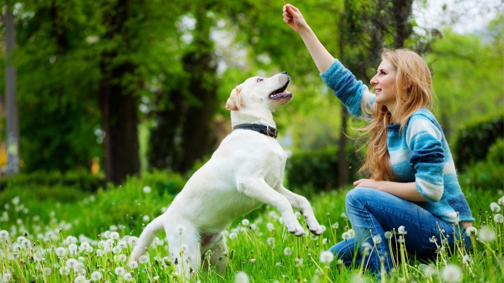 10 Tips to Stop Emotional Eating