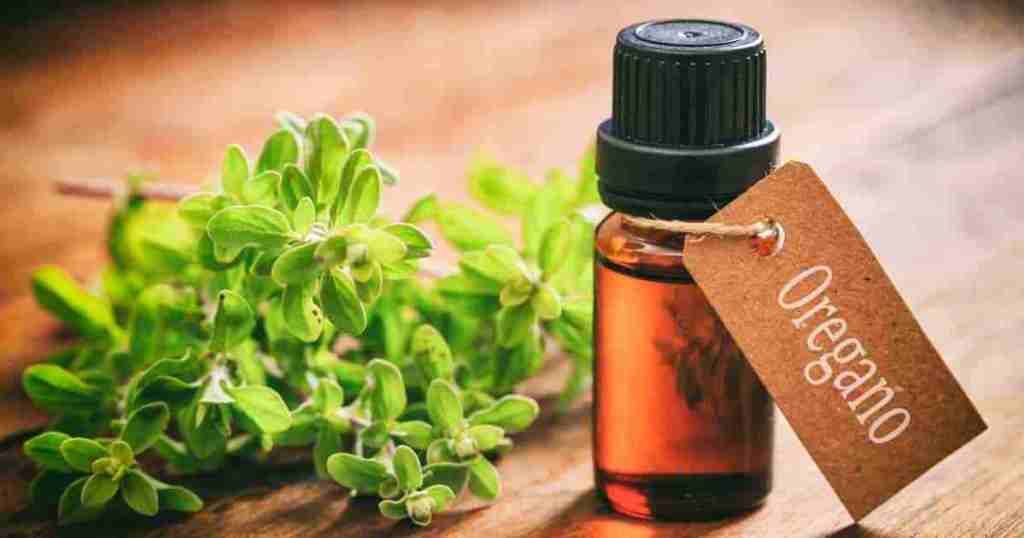 12 Cold and Flu Home Remedies