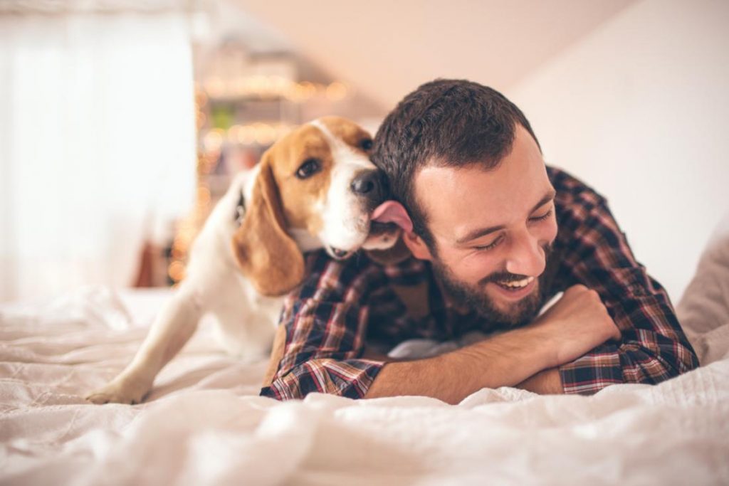 10 Reasons to Date a Dog Person Instead of A Cat Person