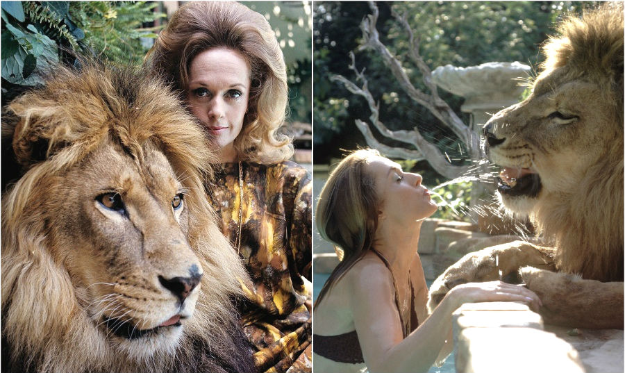 13 Celebs and Their Exotic and Unusual Pets