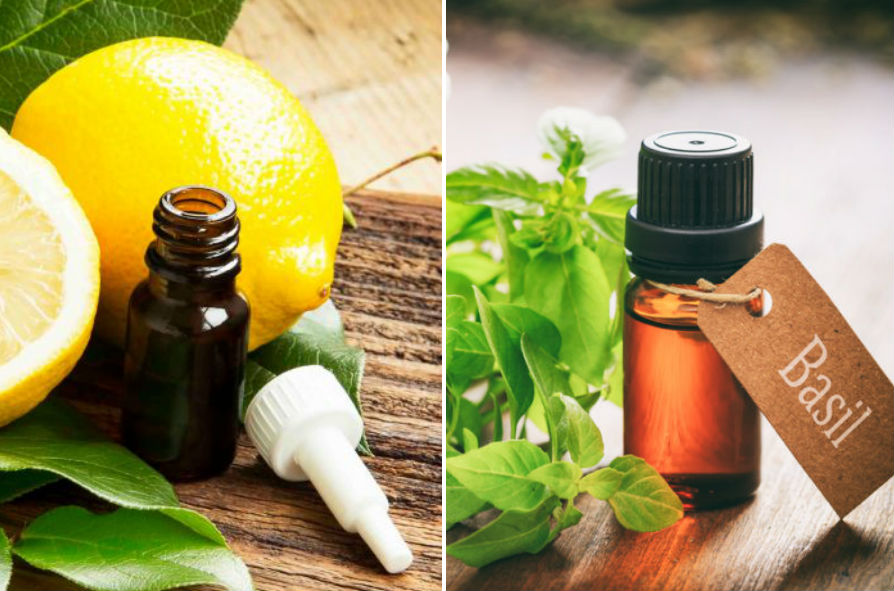 8 Best Oils for Your Bath Routine