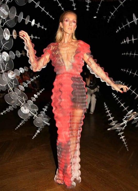 Celine Doin slinky gowns | 10 Reasons Why Celine Dion Is Our New Style Icon | Her Beauty