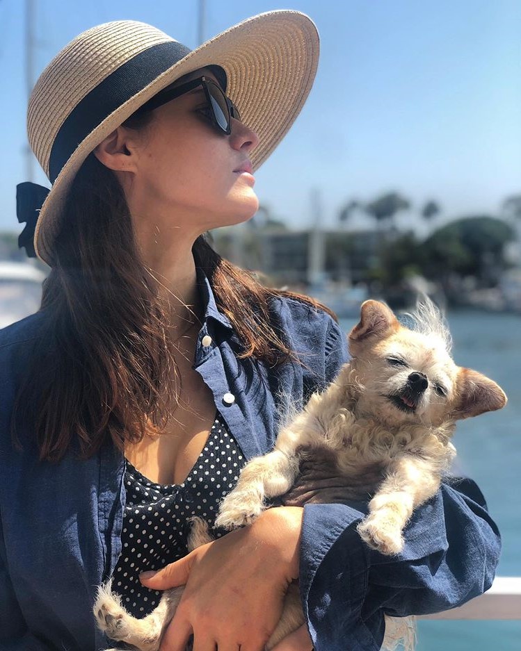 Everything You need to Know about Alexandra Daddario