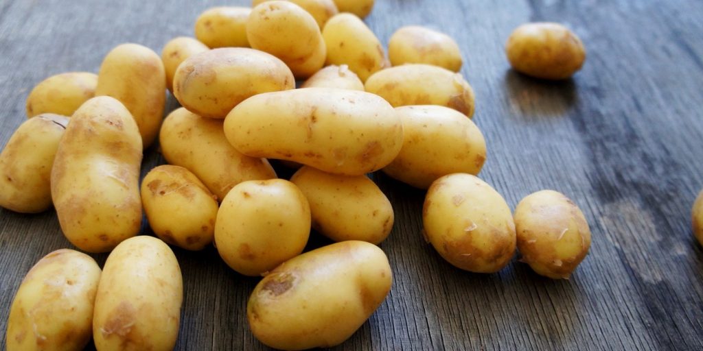 10 Healthy Foods That Are Poisonous When Eaten Wrong