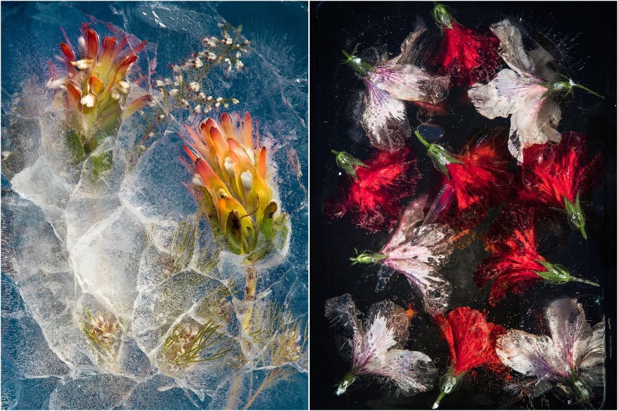 The Zero Degree Project Will Blow You Away With Its Unique Beauty