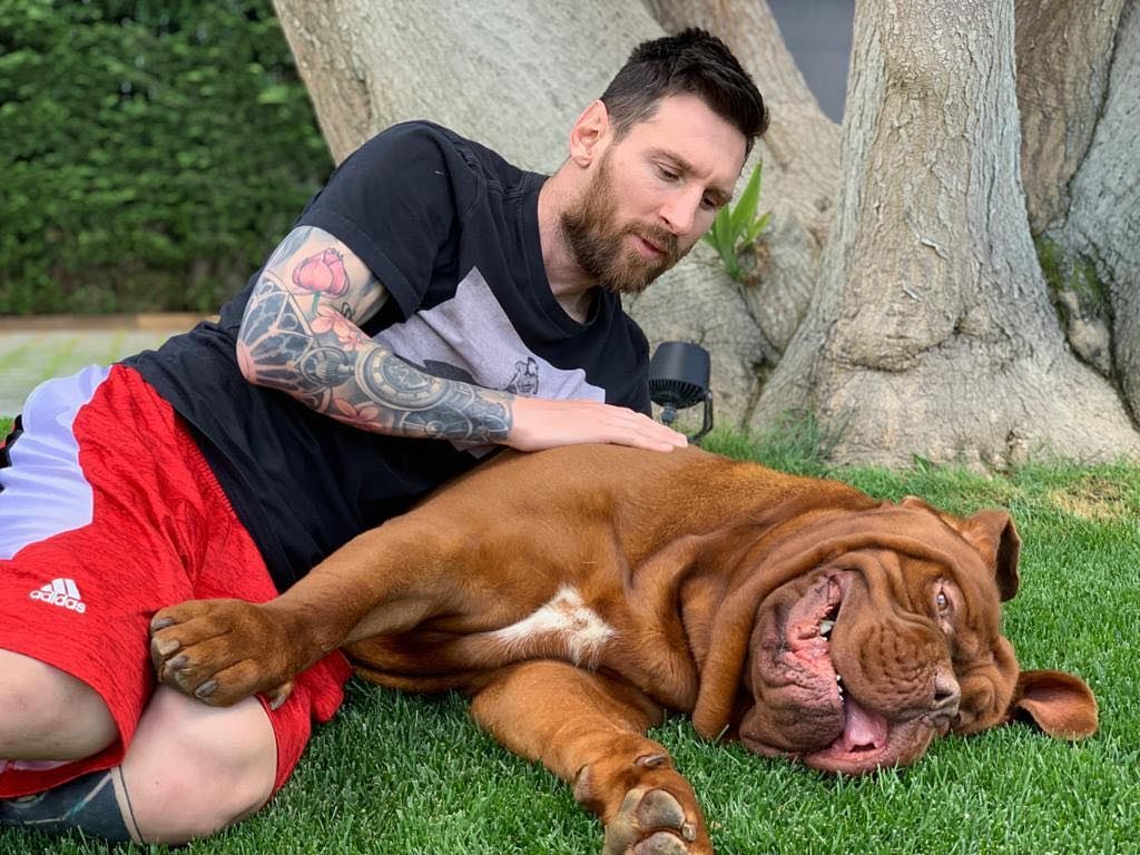 14 Most Followed Celebrities on Instagram in 2019