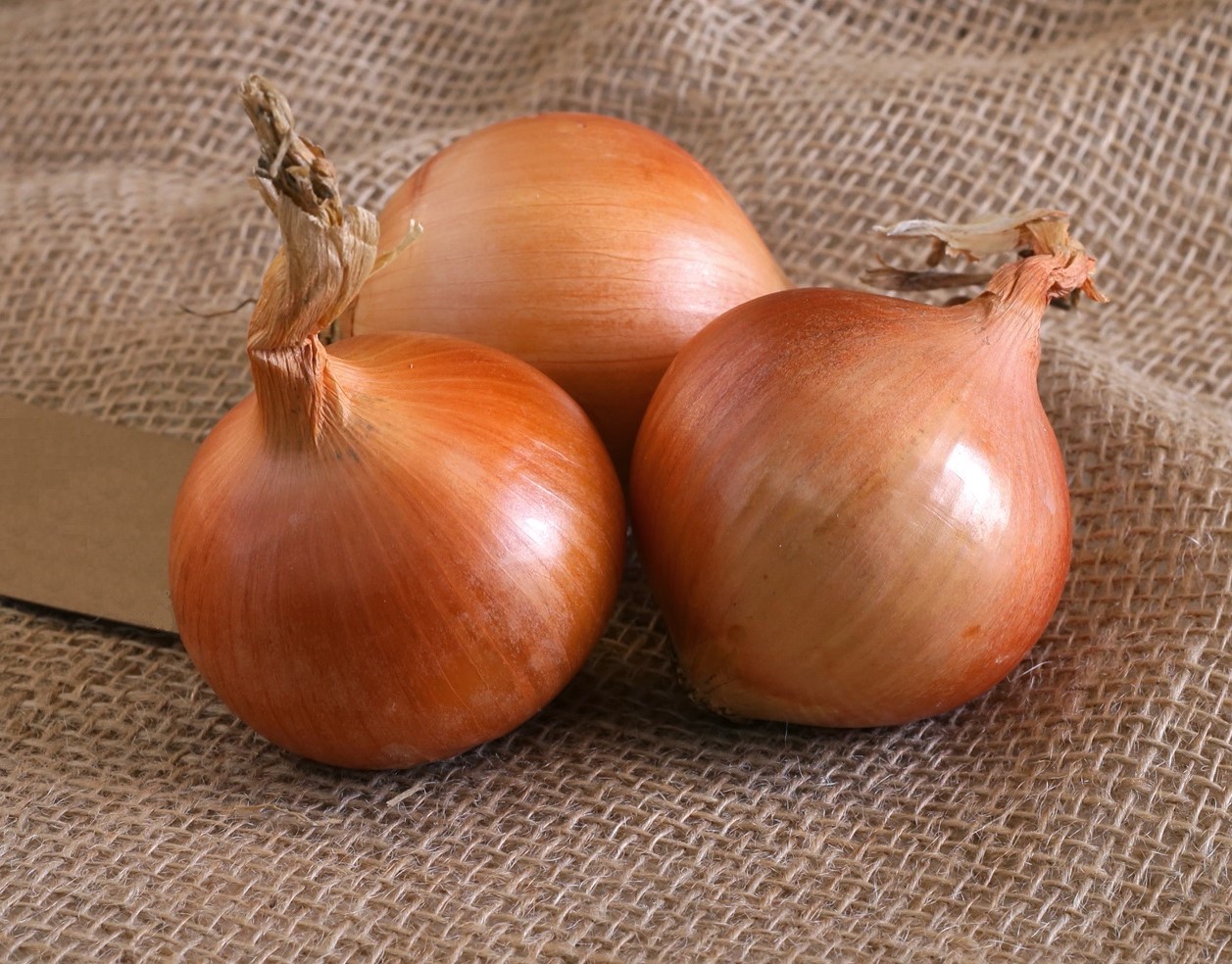 Лук | Топ-10 полезных продуктов, которые обязательно должны быть на вашем столе | Her Baeuty