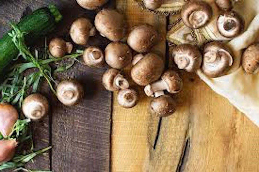 Mushrooms | 10 Foods With Almost Zero Calories | Her Beauty