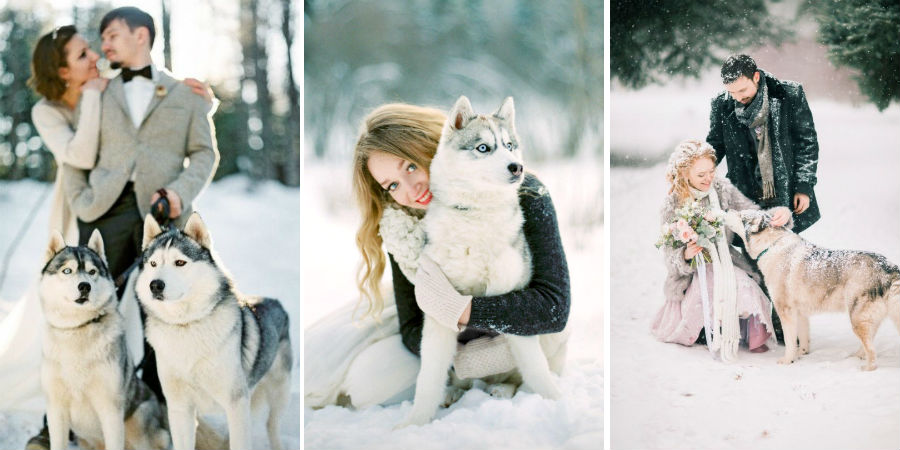 Хаски | 8 крутых идей для зимней свадьбы | Her Beauty