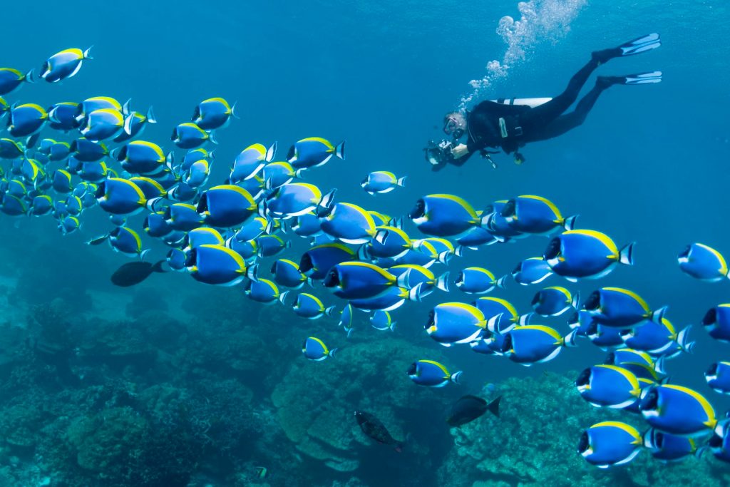 6 Pantai Paling Indah di Indonesia Untuk Pencinta Diving