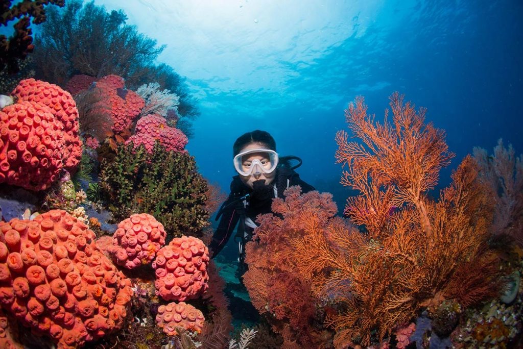 6 Pantai Paling Indah di Indonesia Untuk Pencinta Diving