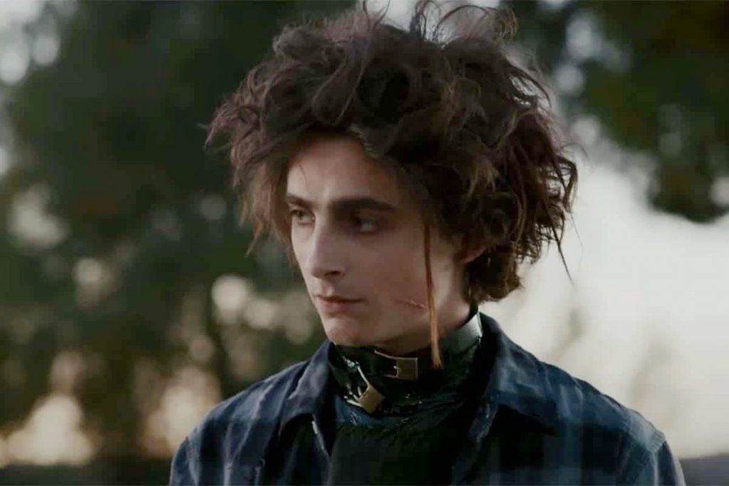 Timothee Chalamet Brings Back Edward Scissorhands In A Super Bowl Ad