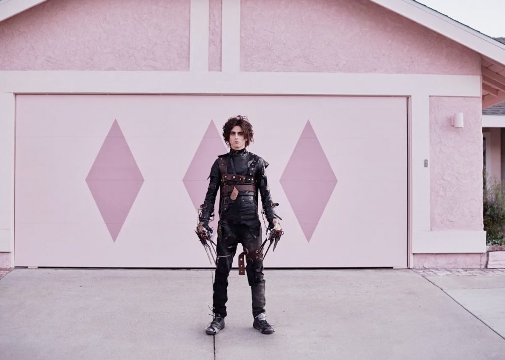 Timothee Chalamet Brings Back Edward Scissorhands In A Super Bowl Ad