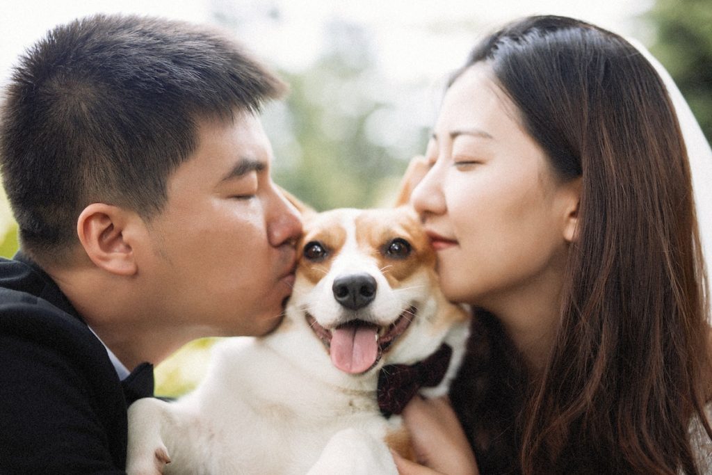 Những mẫu bạn gái ưa thích của các cung hoàng đạo