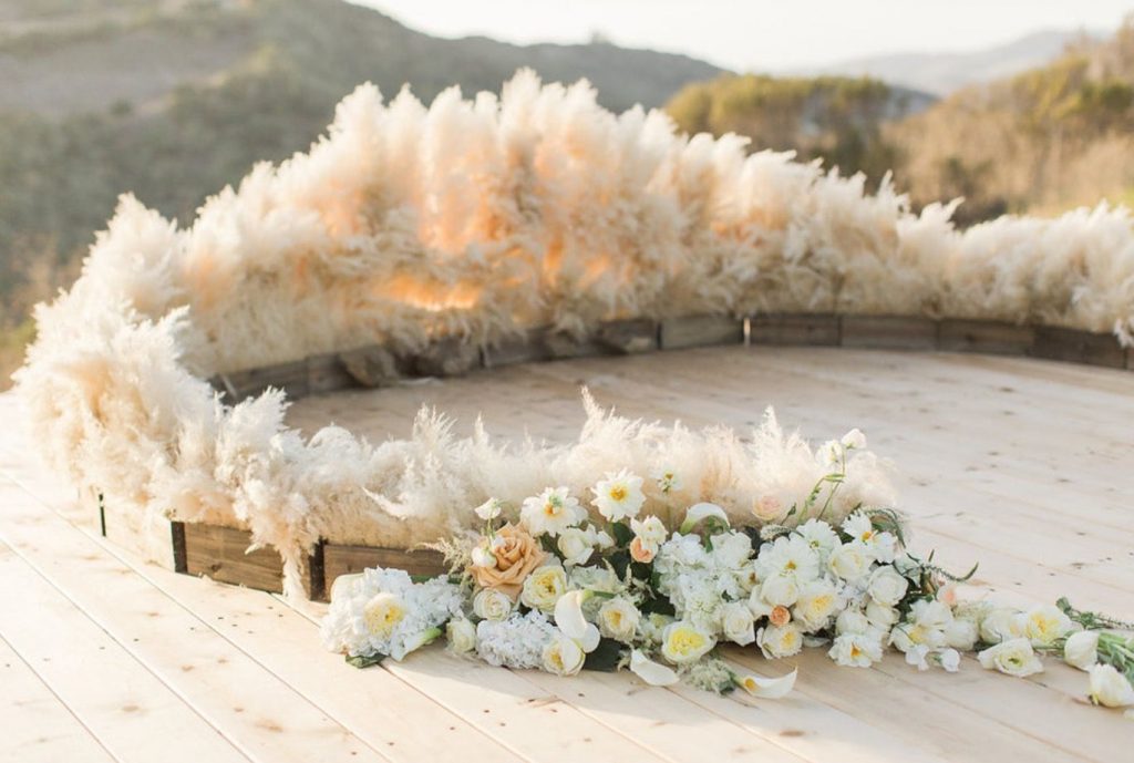 Erba delle Pampas, un elemento di arredo e una decorazione di super tendenza