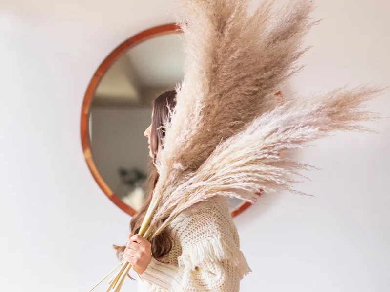 Erba delle Pampas, un elemento di arredo e una decorazione di super tendenza