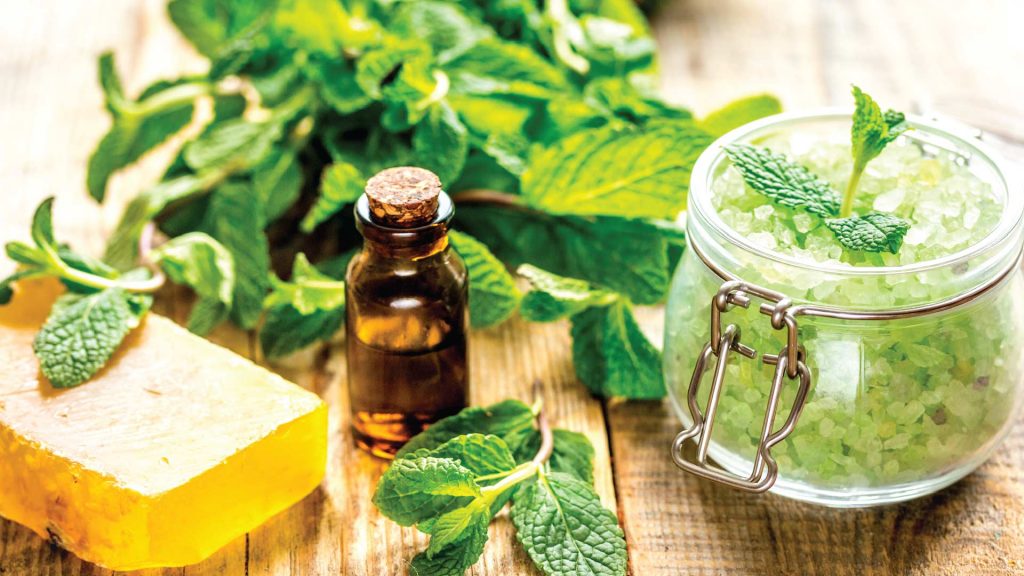6 आयुर्वेदिक ब्यूटी ब्रांड्स जिनके बारे में आपको जानना चाहिए