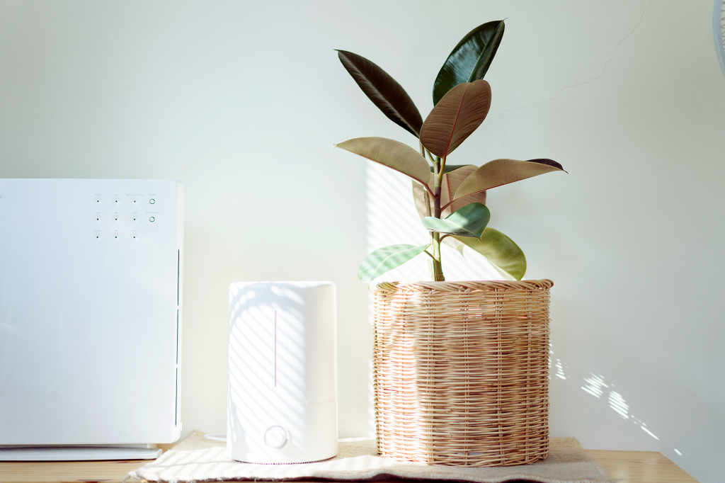 Làm sạch không khí trong nhà: Có thể bạn chưa biết!