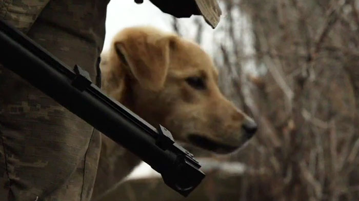 Ukrainian Soldiers Rescue Puppy — It Becomes Their Trusty Watchdog