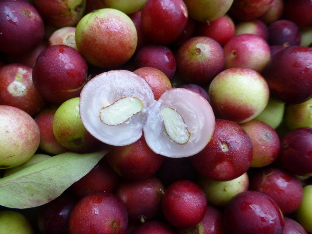 6 frutas inesperadas que tienen más vitamina C que la naranja