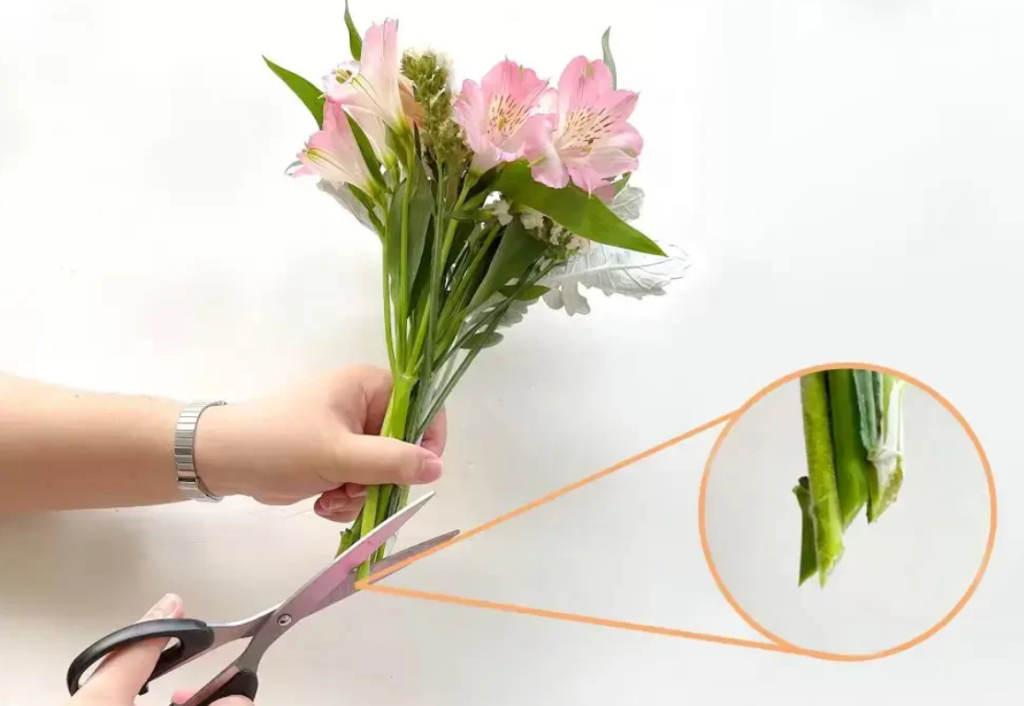 Cách giữ hoa tươi lâu ngày Tết: Những thủ thuật mà thợ cắm hoa không nói cho bạn biết! 