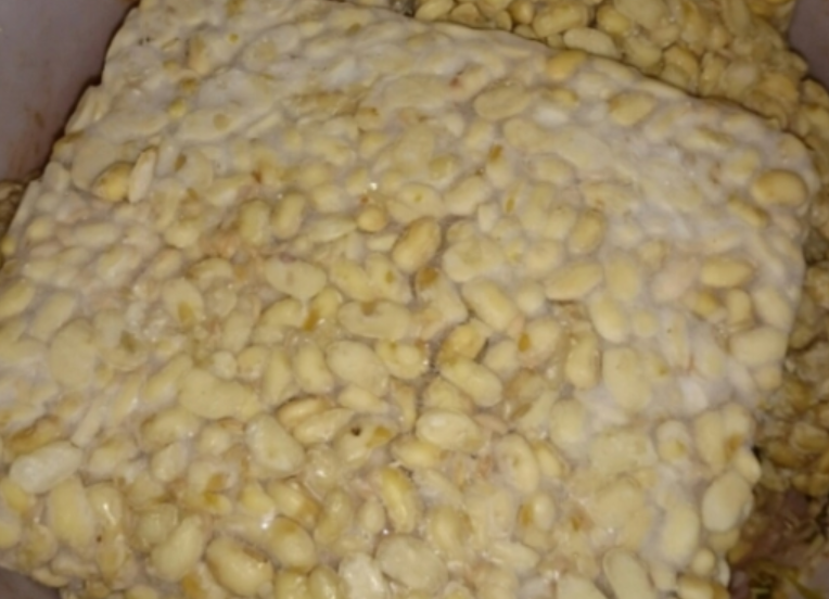 Làm Tempeh tại nhà: Thành công không phải dễ dàng
