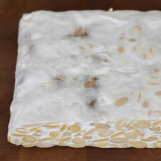 Làm Tempeh tại nhà: Thành công không phải dễ dàng