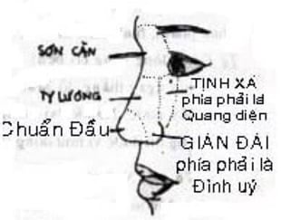 Tướng mũi: Bản đồ số phận qua lăng kính nhân tướng học