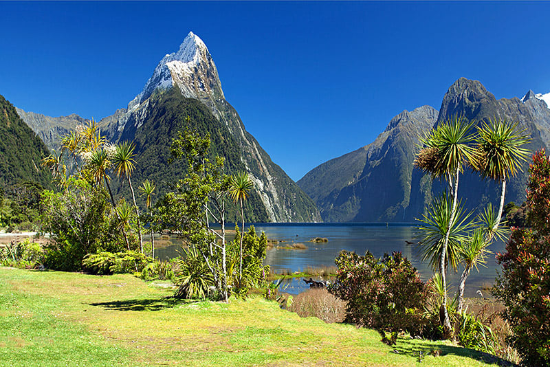 Best Places to Visit by Month: Where to Go Throughout the Year